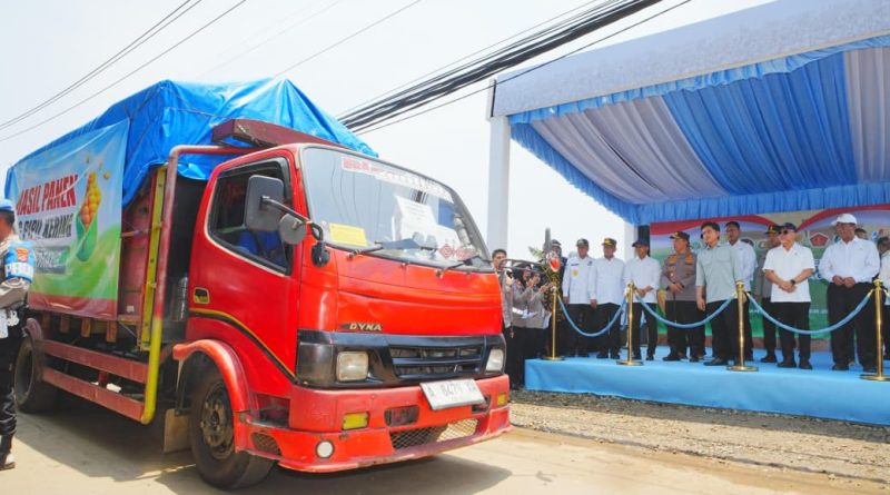 Tanam Serentak, 1.268 Ton Jagung Dilepas Polri untuk Bulog